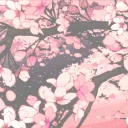 Taiyou ❊