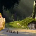 The Swamp
