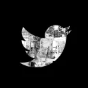 Anitwt Mental Asylum