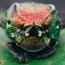 Official meScarab Discord