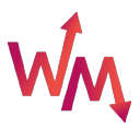 WiseMoney Server Icon