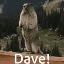 TheDave🥩🥃 Discord server icon