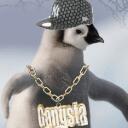 Penguin's Pub Discord Server Icon