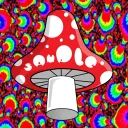 SampleNFTs private server