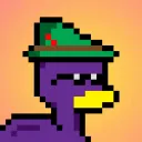 Ducks in Disguise