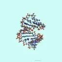 Virtual DNA Friend