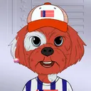 CoolShihtzu