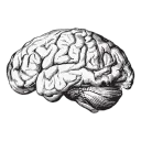 Dead Brain Studio