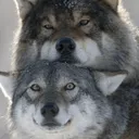 Noatak ARPG