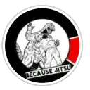 Because Jitsu