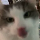 Trade Galaxy Discord Server Icon