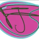 fjs Discord server icon