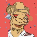 FAK U LLAMAS