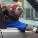 YWP