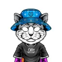 Cats Invasion
