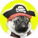Bloodsail Pugs