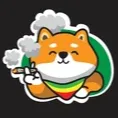 Chiba Inu ASA