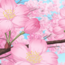 Cherry Kingdom Server Icon