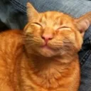 ও§ Vatican Village §ও Discord Server Icon