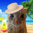 CJ Empire (remember to stare into the sun this summer)