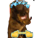 Choco simps
