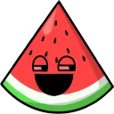The Melon Patch