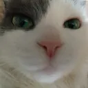 Гламурный домик