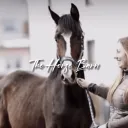 The Horse Barn Discord Server Icon