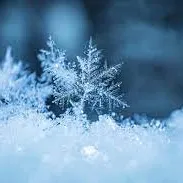 Winter — мониторинг Discord сервера, статистика и рейтинг