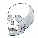 ℕ𝕆 𝕃𝕀𝔽𝔼𝕊