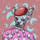 SphynxCats