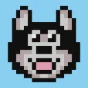 Baby Hosky Asylum