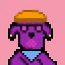RarePuppers