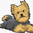Solana Yorkipoo