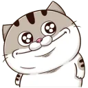RaiBOT01's server