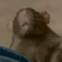 The Rat Cage