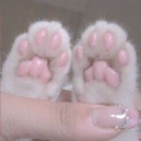 Kitty’s Sanctuary