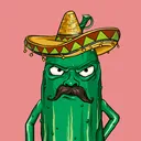 Spunky cucumbers