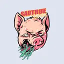 Sadtrue Gaming Division