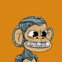 IC Small Apes