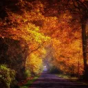๖ۣۜAutumn's Server (Real)