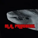𝑴.𝑨. 𝑷𝒓𝒐𝒕𝒐𝒄𝒐𝒍