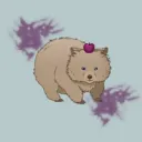 Fat Wombats
