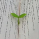 Good Earth Archive