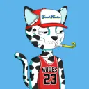 Nudie Community