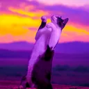 DrunkCats