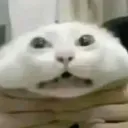 goofy goobers Discord Server Icon