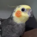 Nerds of a Feather