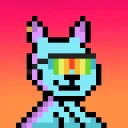 Solana Roo Business