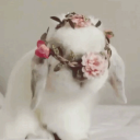 â‚á¢..á¢â‚Ž ãƒ» ð”¹unni ð”¹abes ãƒ» êª”Ì¤Ì¥  á™Ì¤Ì« Server Icon